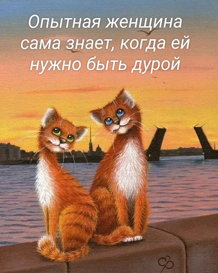 Опытная женщина сама знает, когда ей нужно быть дурой