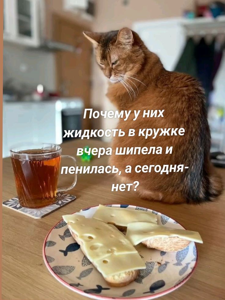 Почему у них жидкость в кружке вчера шипела и пенилась, а сегодня - нет?