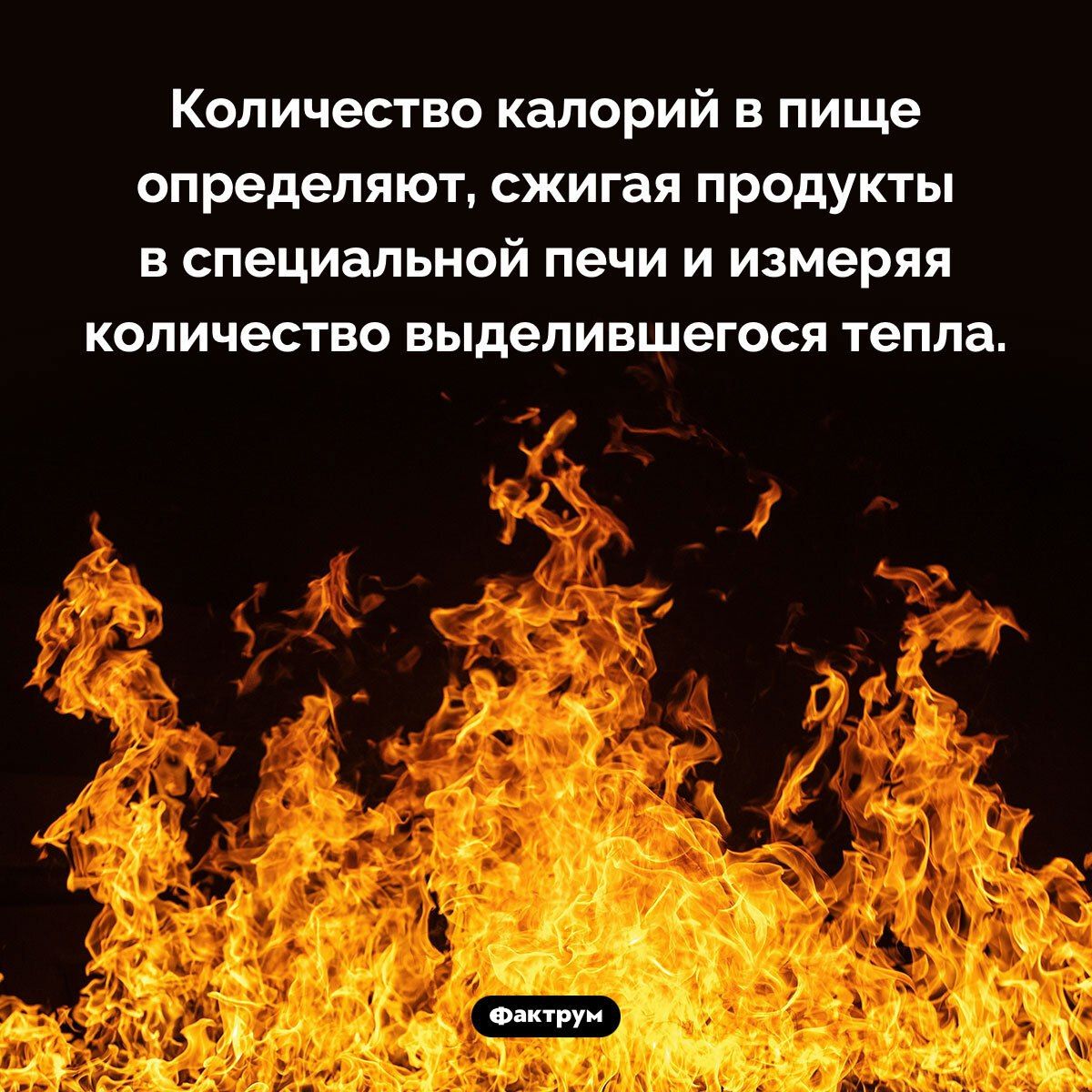 Количество калорий в пище определяют, сжигая продукты в специальной печи и измеряя количество выделившегося тепла.