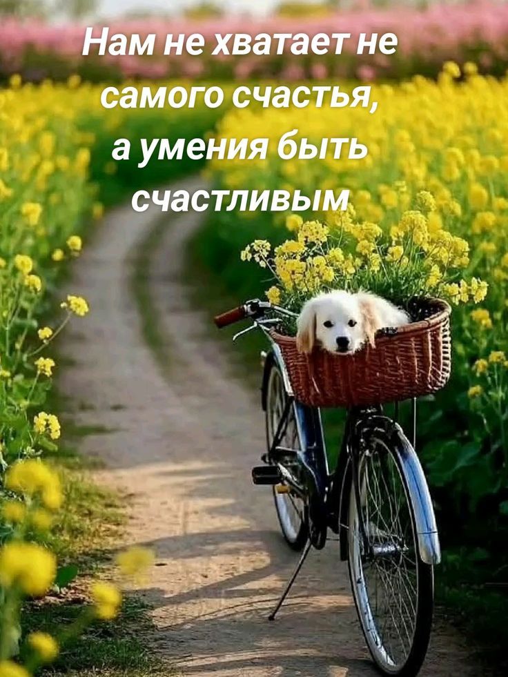 Нам не хватает не самого счастья, а умения быть счастливым
