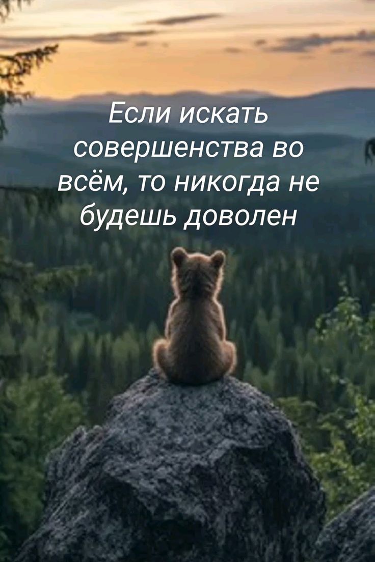 Если искать совершенства во всём, то никогда не будешь доволен