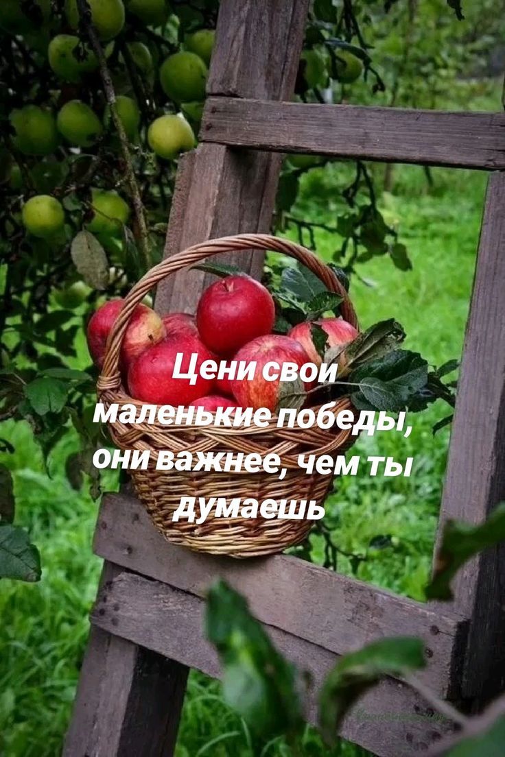 Цени свои маленькие победы, они важнее, чем ты думаешь.