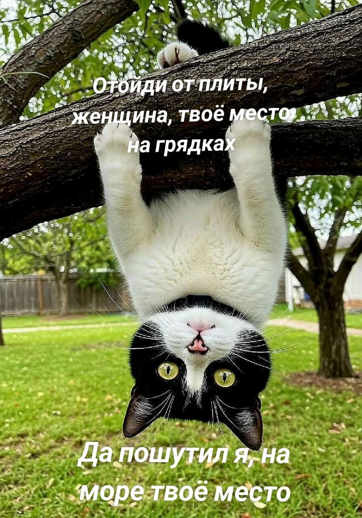 Отойди от плиты, женщина, твое место на грядках
Да пошутил я, на море твое место