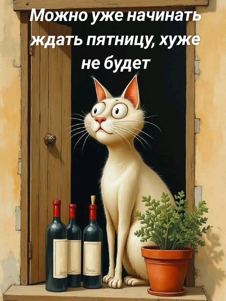 Можно уже начинать ждать пятницу, хуже не будет
