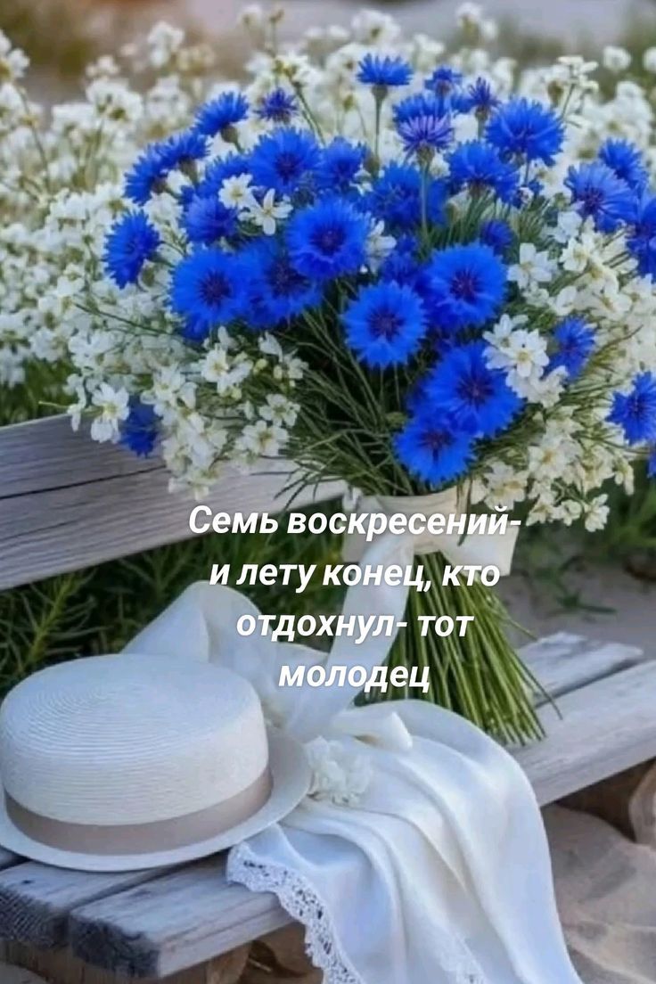 Семь воскресений- и лету конец, кто отдохнул- тот молодец