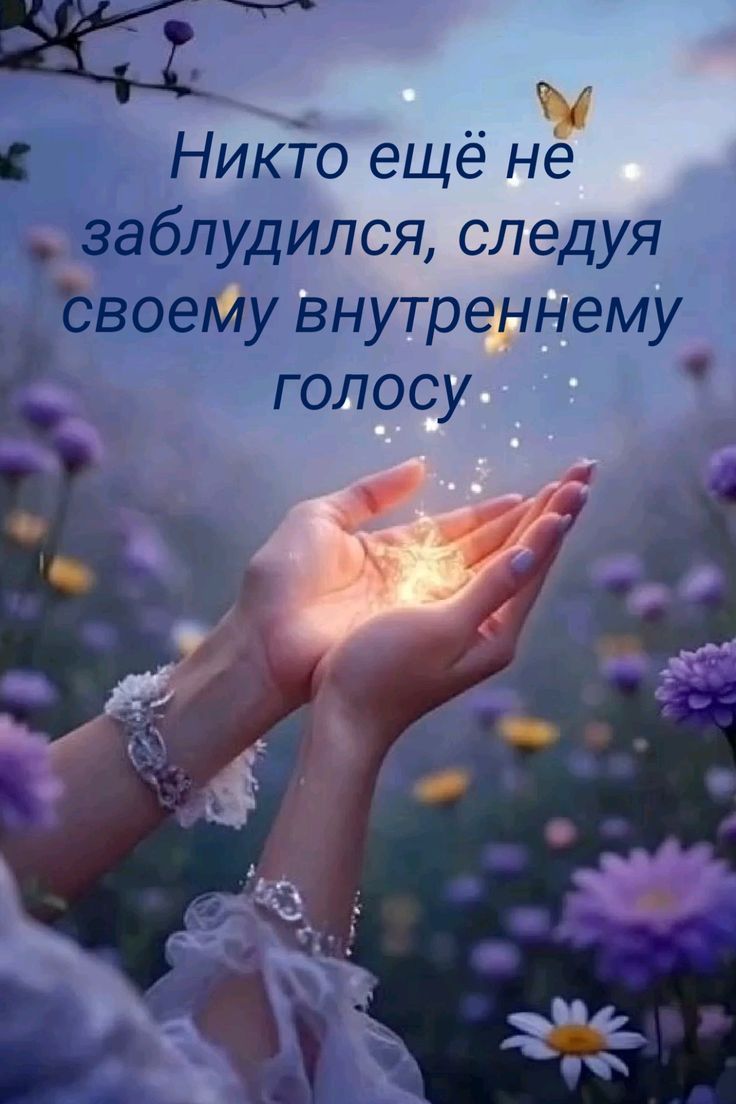 Никто ещё не заблудился, следуя своему внутреннему голосу