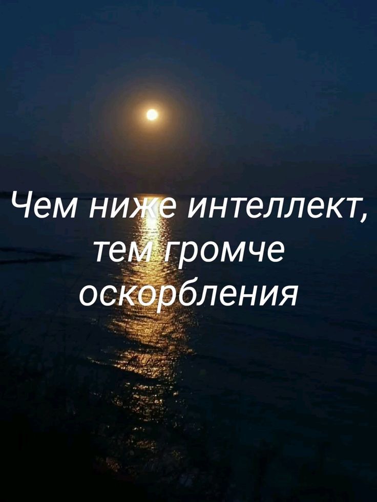 Чем ниже интеллект, тем громче оскорбления