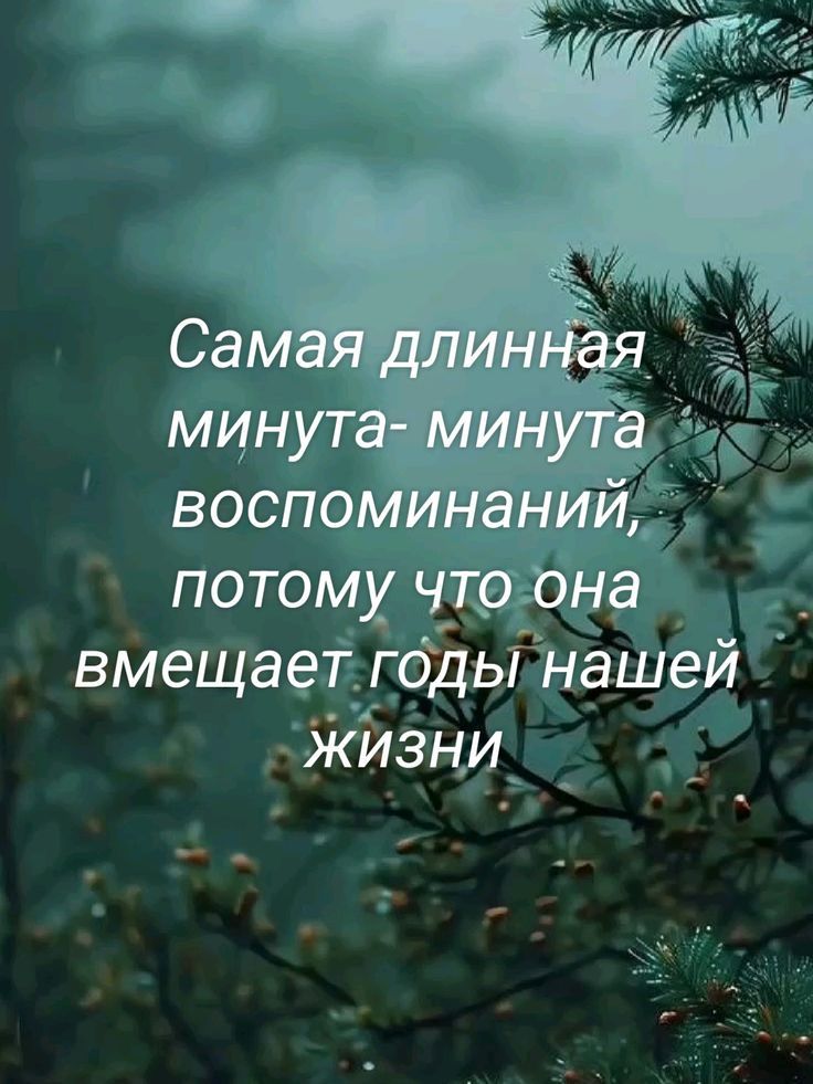 Самая длинная минута- минута воспоминаний, потому что она вмещает годы нашей жизни