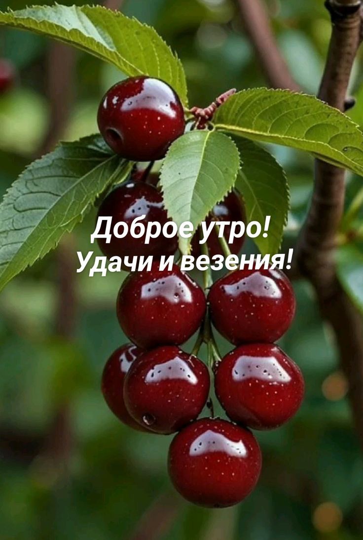 Доброе утро! Удачи и везения!