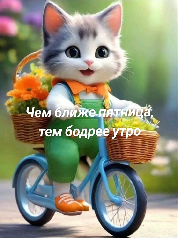 Чем ближе пятница, тем бодрее утро