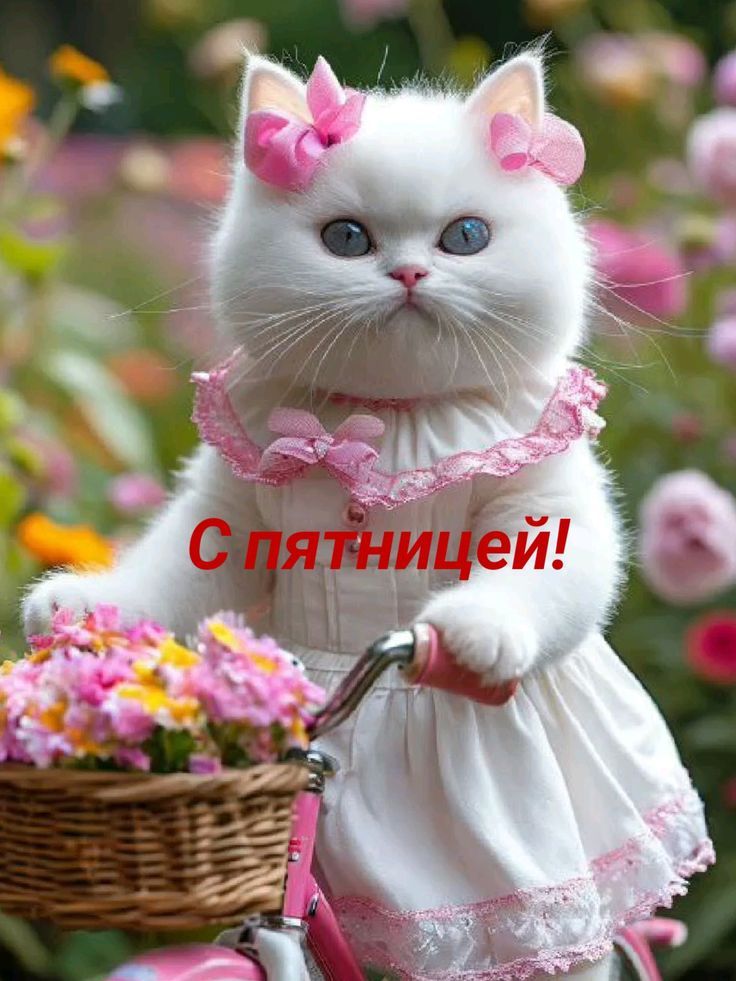 С пятницей!