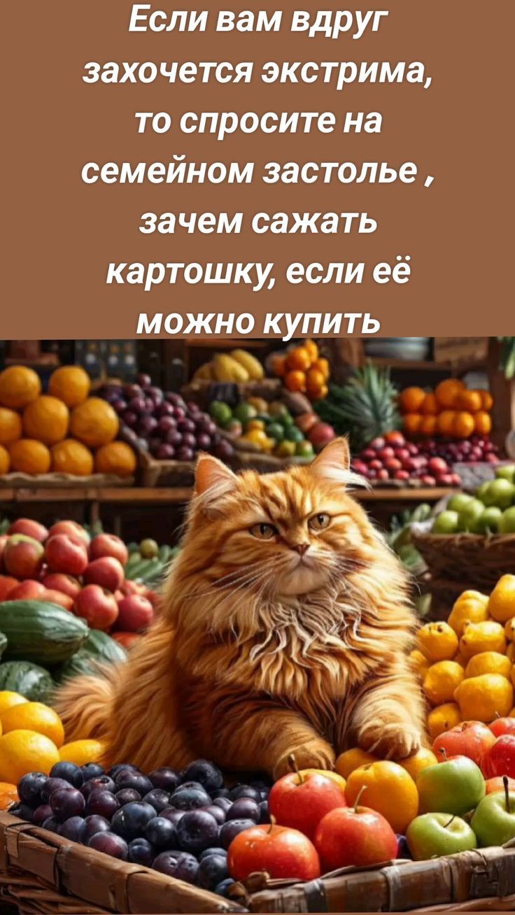 Если вам вдруг захочется экстрима, то спросите на семейном застолье, зачем сажать картошку, если её можно купить