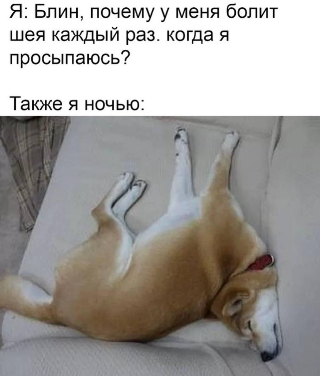 Я: Блин, почему у меня болит шея каждый раз, когда я просыпаюсь?
Также я ночью:
