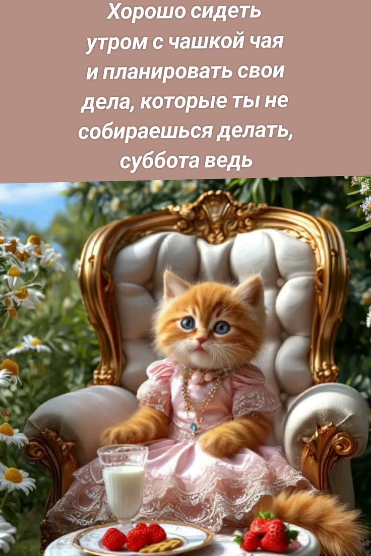 Хорошо сидеть утром с чашкой чая и планировать свои дела, которые ты не собираешься делать, суббота ведь