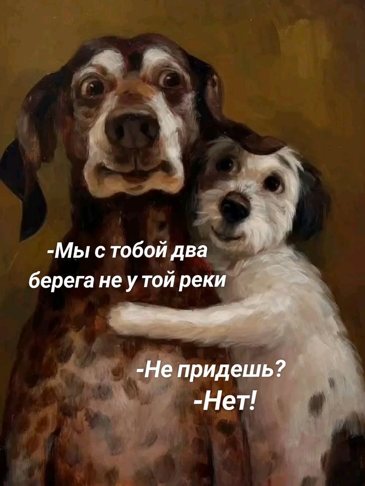 -Мы с тобой два берега не у той реки
-Не придешь? 
-Нет!