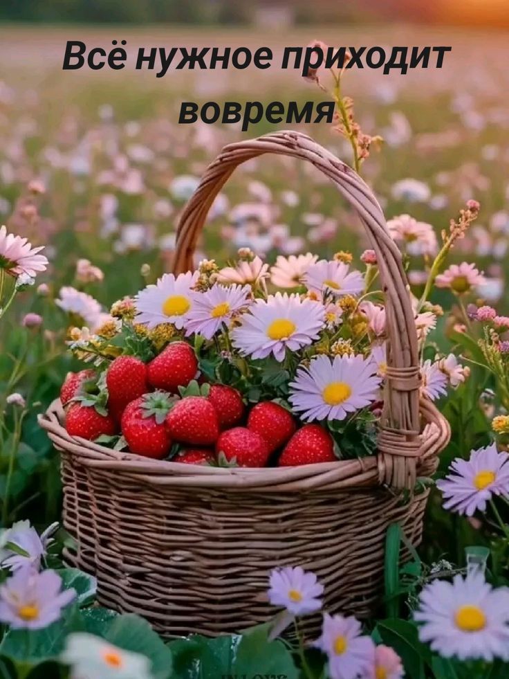 Всё нужное приходит вовремя