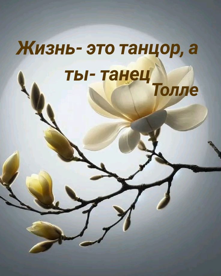 Жизнь- это танцор, а ты- танец Толле