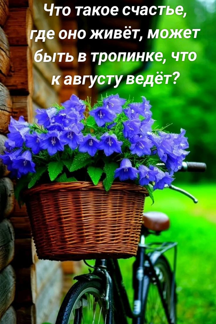 Что такое счастье, где оно живёт, может быть в тропинке, что к августу ведёт?