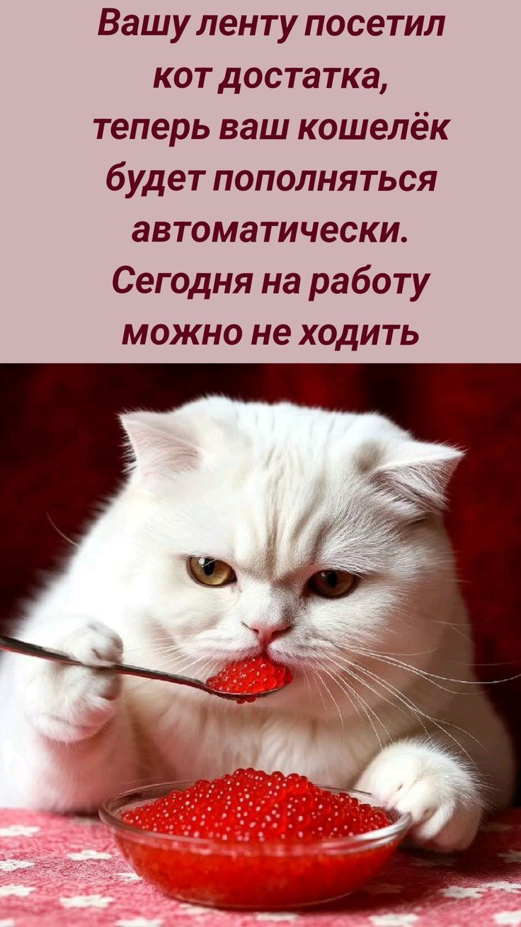 Вашу ленту посетил кот достатка, теперь ваш кошелёк будет пополняться автоматически. Сегодня на работу можно не ходить