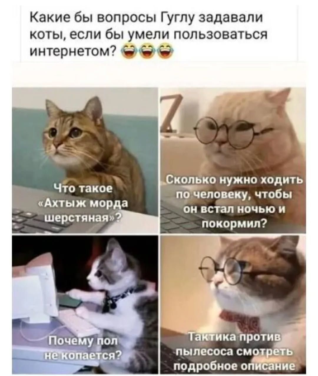 Какие бы вопросы Гуглу задавали коты, если бы умели пользоваться интернетом?

Что такое «Ах тыж морда шершавая»?

Сколько нужно ходить по человеку, чтобы он встал ночью и покормил?

Почему пол не копается?

Тактика против пылесоса смотреть подробное описание
