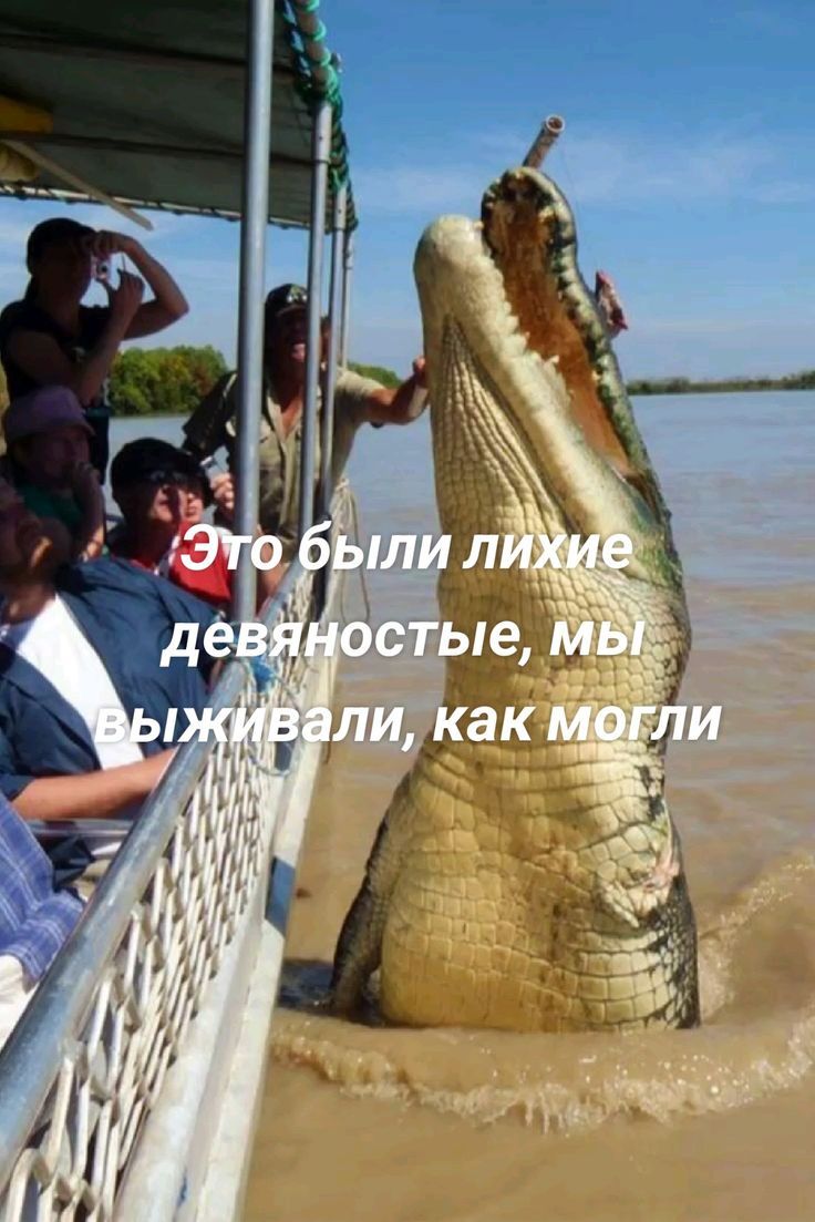 Это были лихие девяностые, мы выживали, как могли