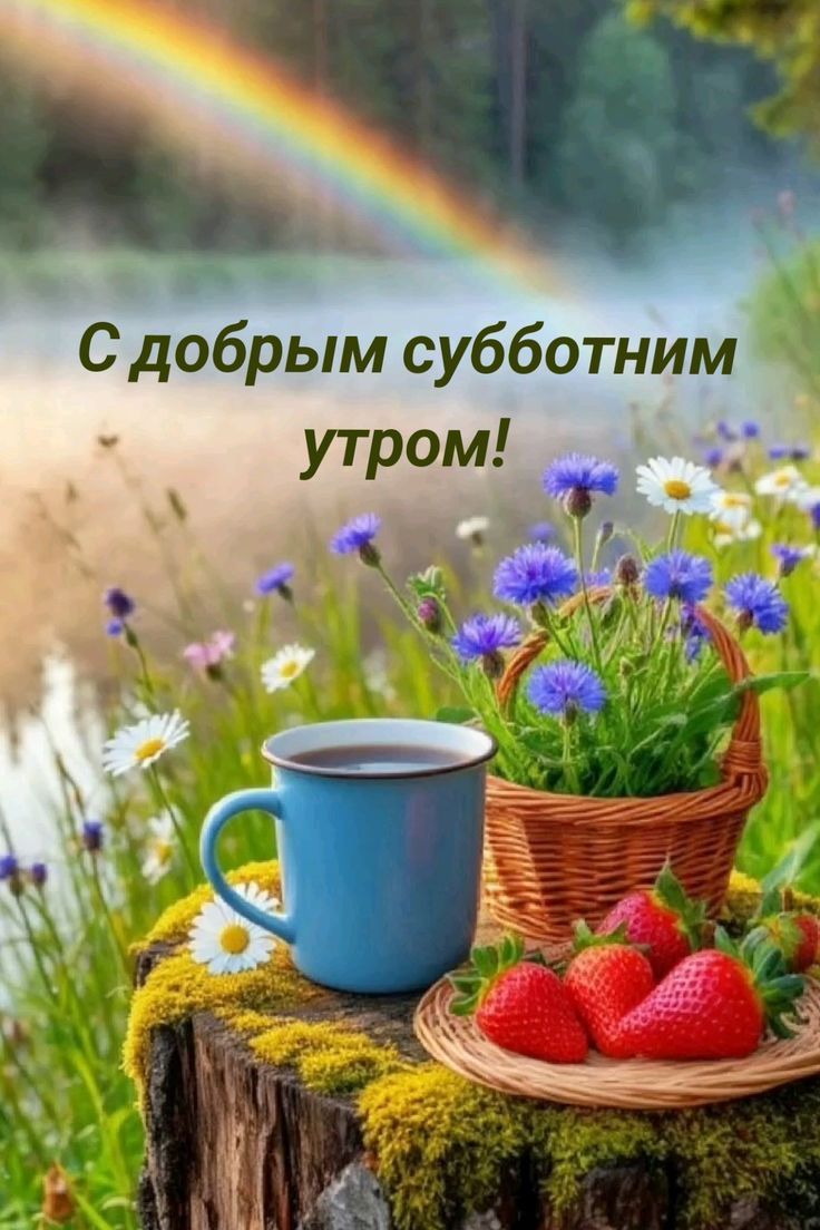С добрым субботним утром!