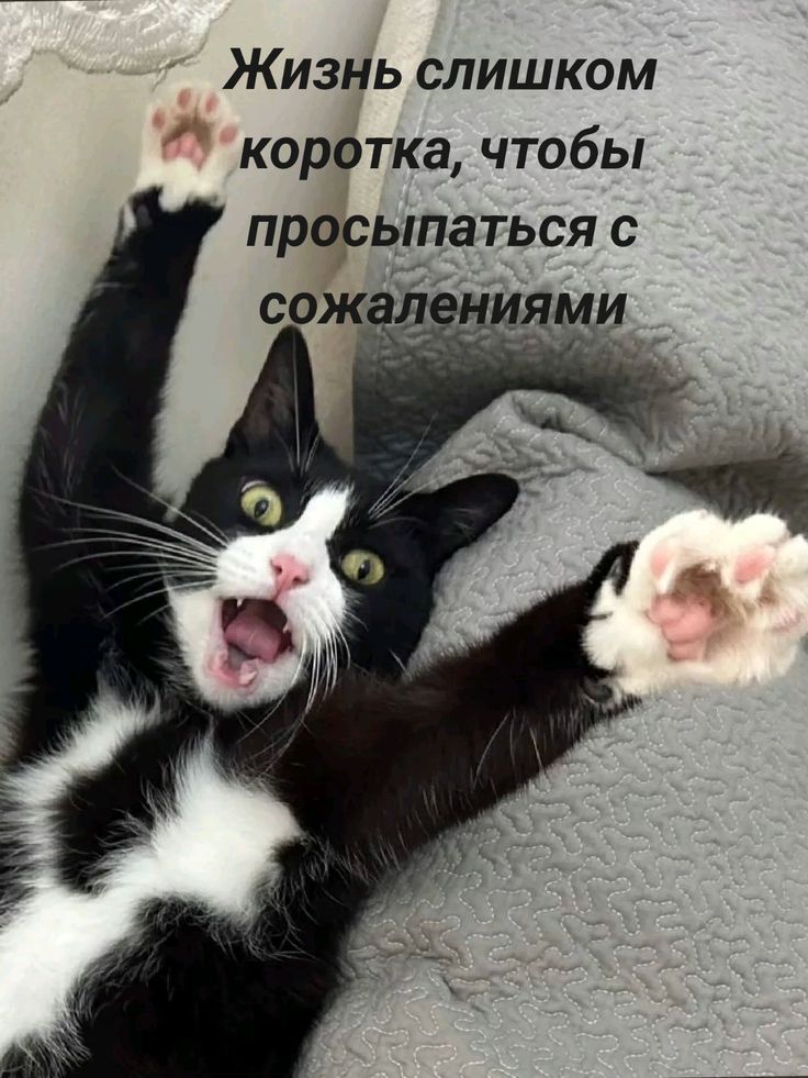 Жизнь слишком коротка, чтобы просыпаться с сожалениями