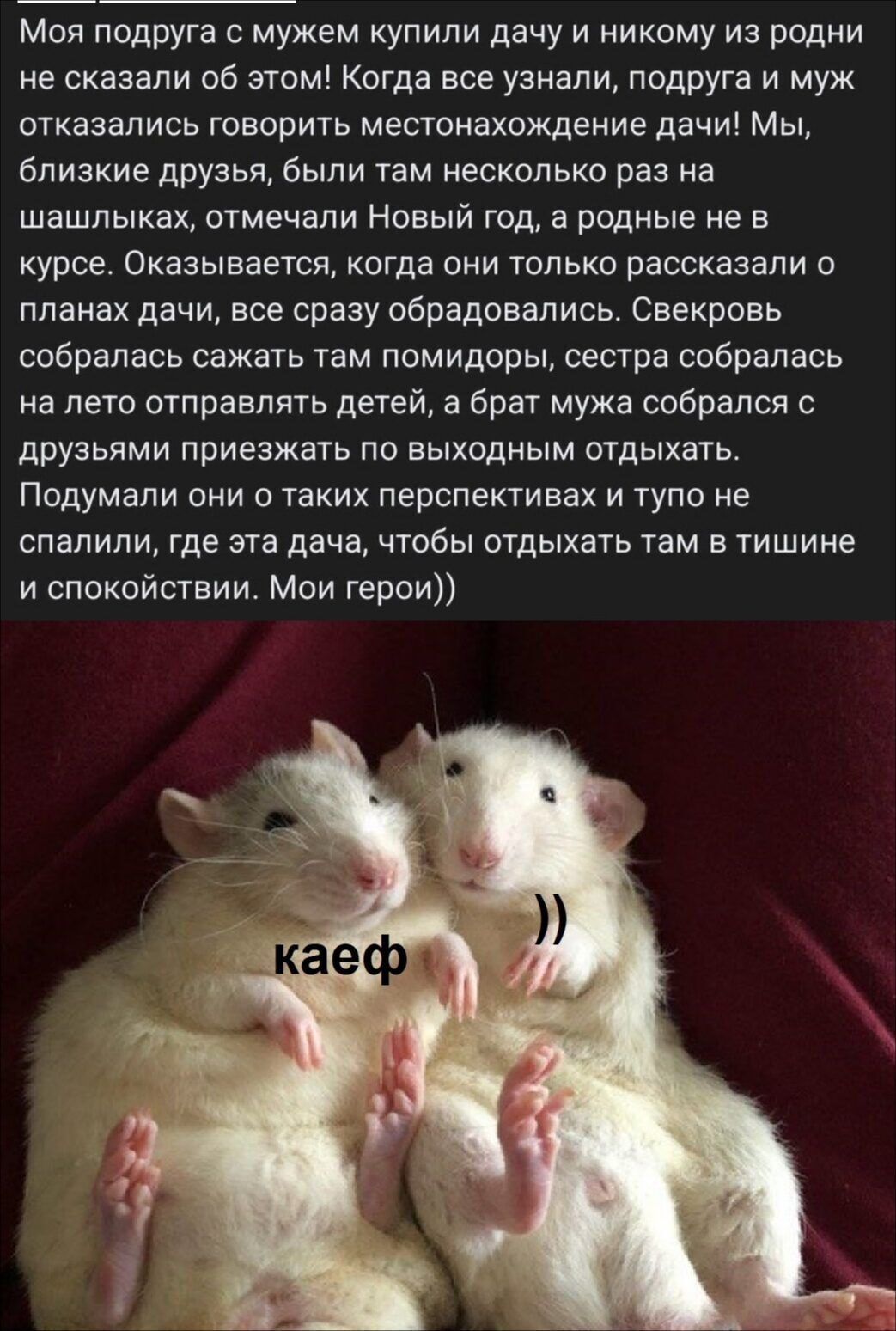 Моя подруга с мужем купили дачу и никому из родни не сказали об этом! Когда все узнали, подруга и муж отказались говорить местонахождение дачи! Мы, близкие друзья, были там несколько раз на шашлыках, отмечали Новый год, а родные не в курсе. Оказывается, когда они только рассказали о планах дачи, все сразу обрадовались. Свекровь собиралась сажать там помидоры, сестра собиралась на лето отправлять детей, а брат мужа собрался с друзьями приезжать по выходным отдыхать. Подумали они о таких перспективах и тупо не спалили, где эта дача, чтобы отдыхать там в тишине и спокойствии. Мои герои))