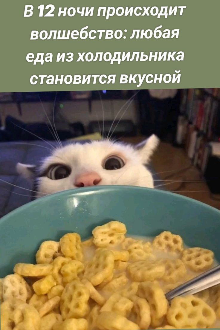 В 12 ночи происходит волшебство: любая еда из холодильника становится вкусной