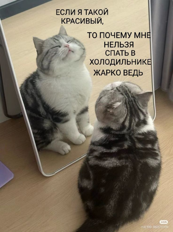 ЕСЛИ Я ТАКОЙ КРАСИВЫЙ,
ТО ПОЧЕМУ МНЕ НЕЛЬЗЯ СПАТЬ В ХОЛОДИЛЬНИКЕ ЖАРКО ВЕДЬ