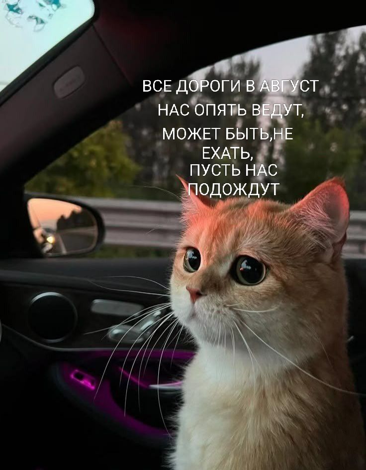 ВСЕ ДОРОГИ В АВГУСТ
НАС ОПЯТЬ ВЕДУТ,
МОЖЕТ БЫТЬ, НЕ
ЕХАТЬ,
ПУСТЬ НАС
ПОДОЖДУТ