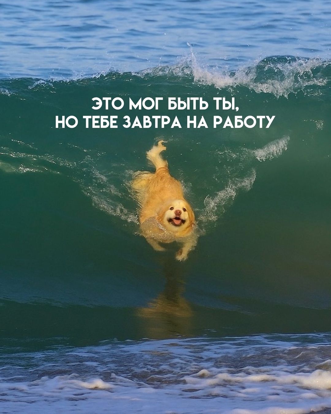 ЭТО МОГ БЫТЬ ТЫ, НО ТЕБЕ ЗАВТРА НА РАБОТУ