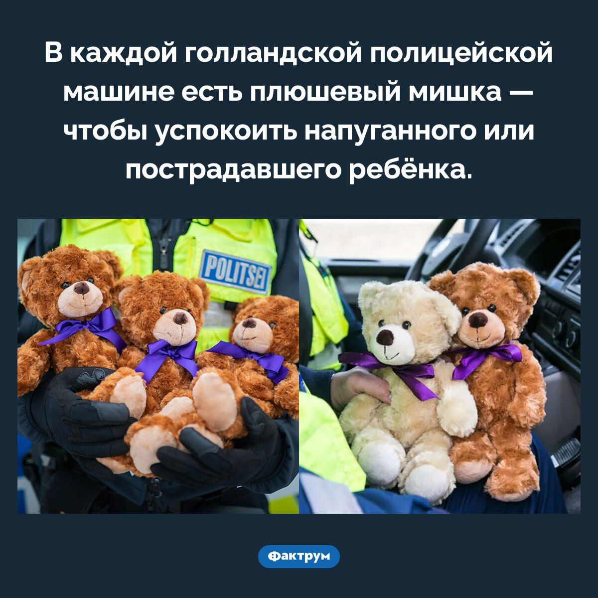 В каждой голландской полицейской машине есть плюшевый мишка — чтобы успокоить напуганного или пострадавшего ребёнка.