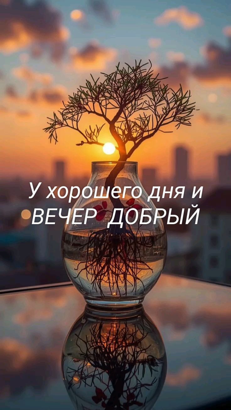 У хорошего дня и ВЕЧЕР ДОБРЫЙ