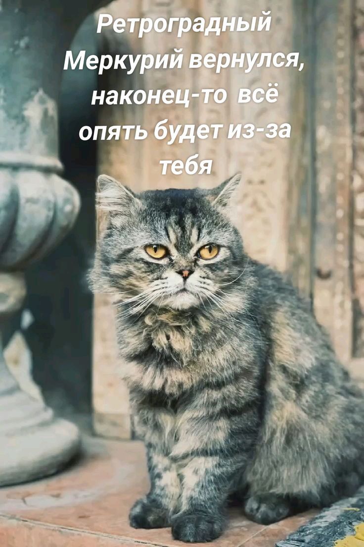 Ретроградный Меркурий вернулся, наконец-то всё опять будет из-за тебя