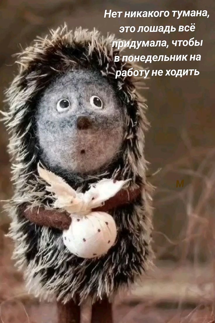 Нет никакого тумана, это лошадь всё придумала, чтобы в понедельник на работу не ходить