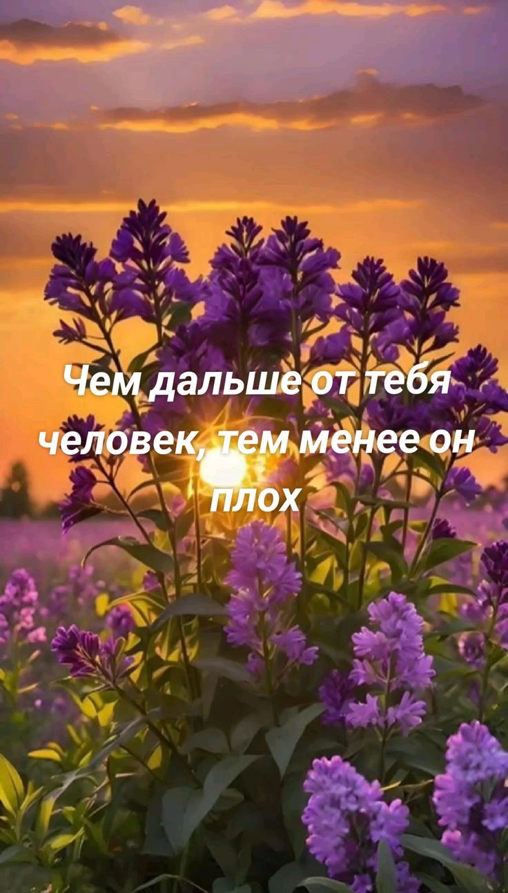 Чем дальше от тебя человек, тем менее он плох