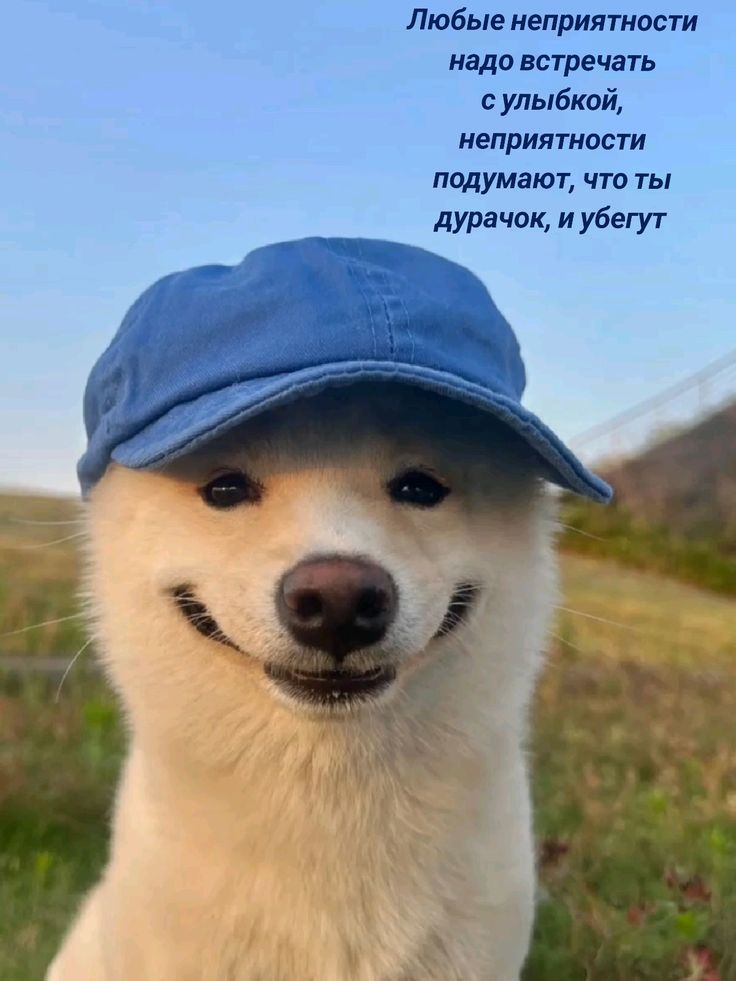 Любые неприятности надо встречать с улыбкой, неприятности подумают, что ты дурачок, и убегут