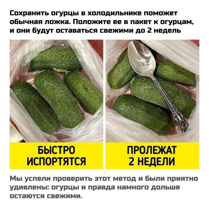 Сохранить огурцы в холодильнике поможет обычная ложка. Положите ее в пакет к огурцам, и они будут оставаться свежими до 2 недель. Мы успели проверить этот метод и были приятно удивлены: огурцы и правда намного дольше остаются свежими.