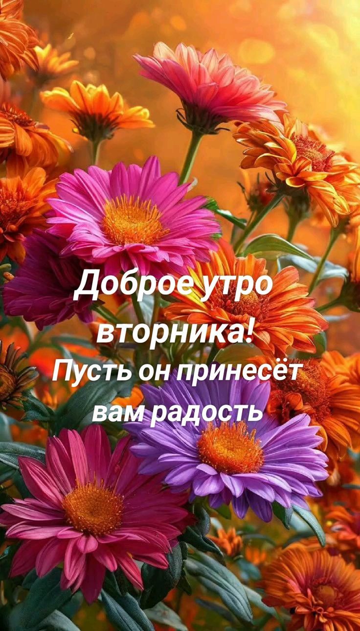 Доброе утро вторника! Пусть он принесёт вам радость