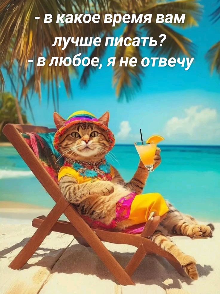- в какое время вам лучше писать?
- в любое, я не отвечу