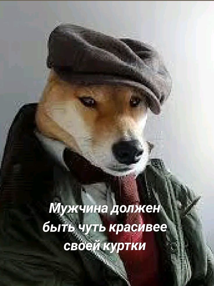 Мужчина должен быть чуть красивее своей куртки