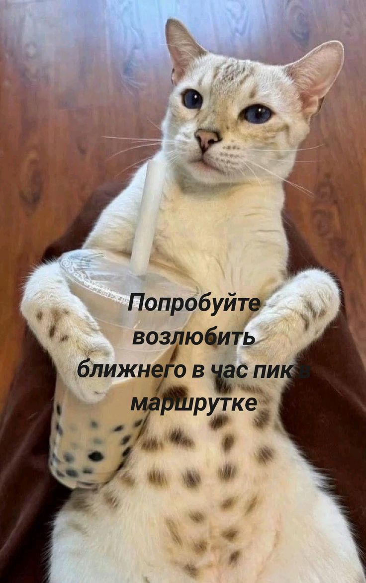 Попробуйте возлюбить ближнего в час пик маршрутке