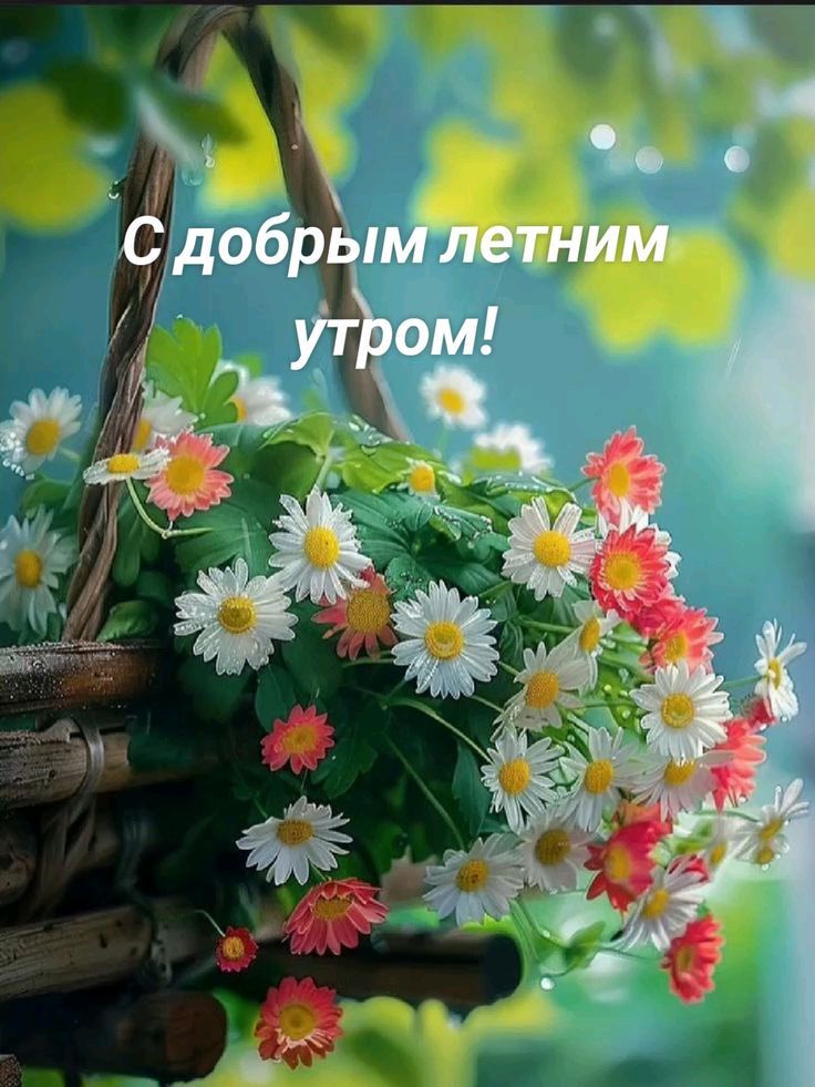 С добрым летним утром!