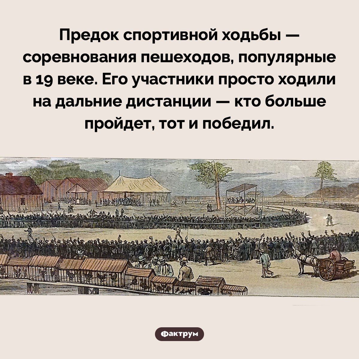 Предок спортивной ходьбы — соревнования пешеходов, популярные в 19 веке. Его участники просто ходили на дальние дистанции — кто больше пройдет, тот и победил.