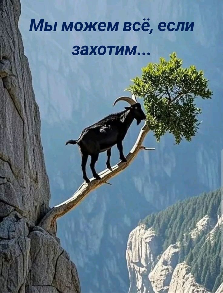 Мы можем всё, если захотим...