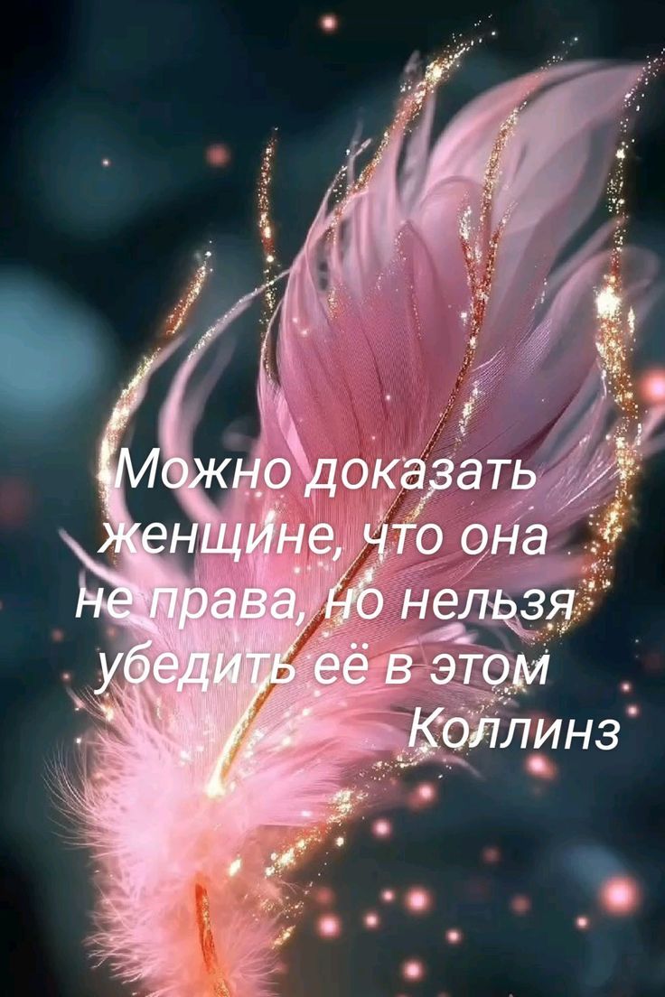 Можно доказать женщине, что она не права, но нельзя убедить её в этом
Коллинз