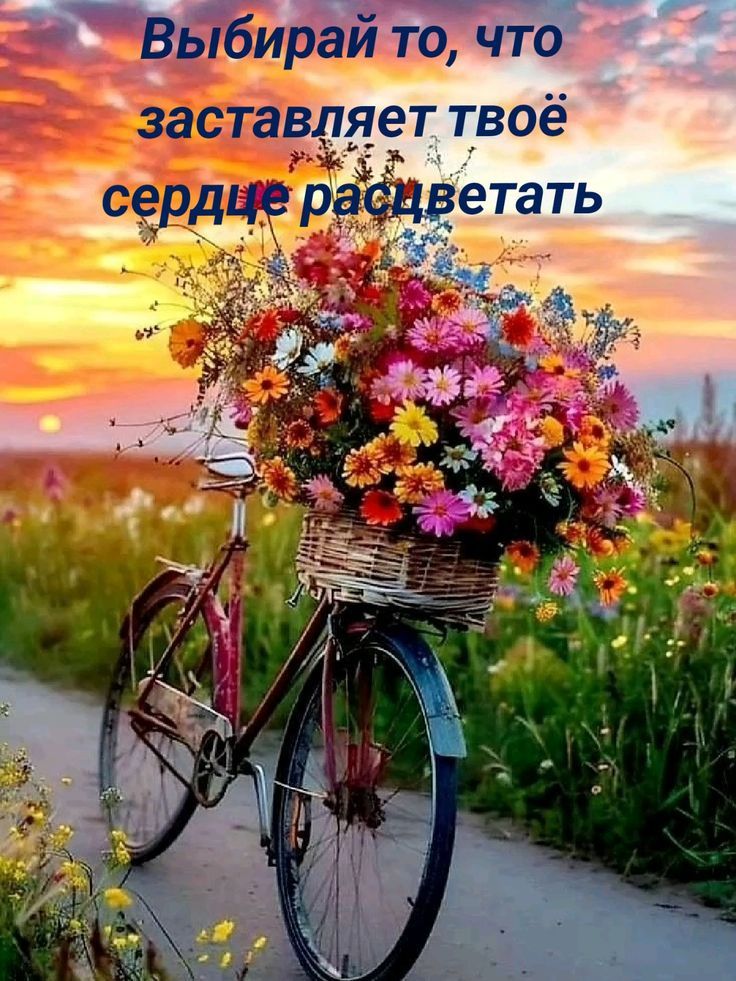 Выбирай то, что заставляет твое сердце расцветать