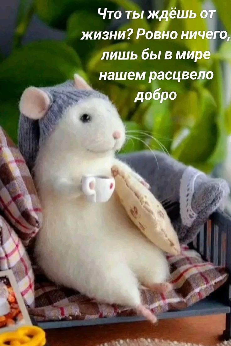 Что ты ждёшь от жизни? Равно ничего, лишь бы в мире нашем расцвело добро