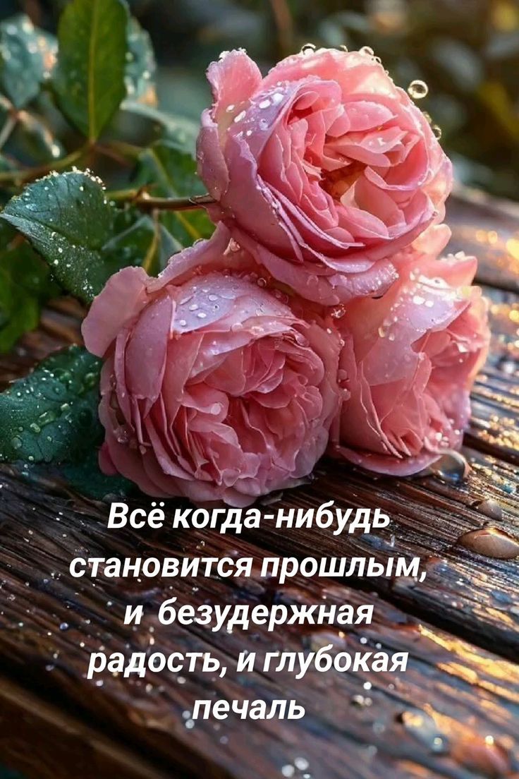 Всё когда-нибудь становится прошлым, и безудержная радость, и глубокая печаль
